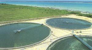 Yeayama Chlorella Kweekvijvers